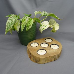 Natural Tree Slice Candle Holder
