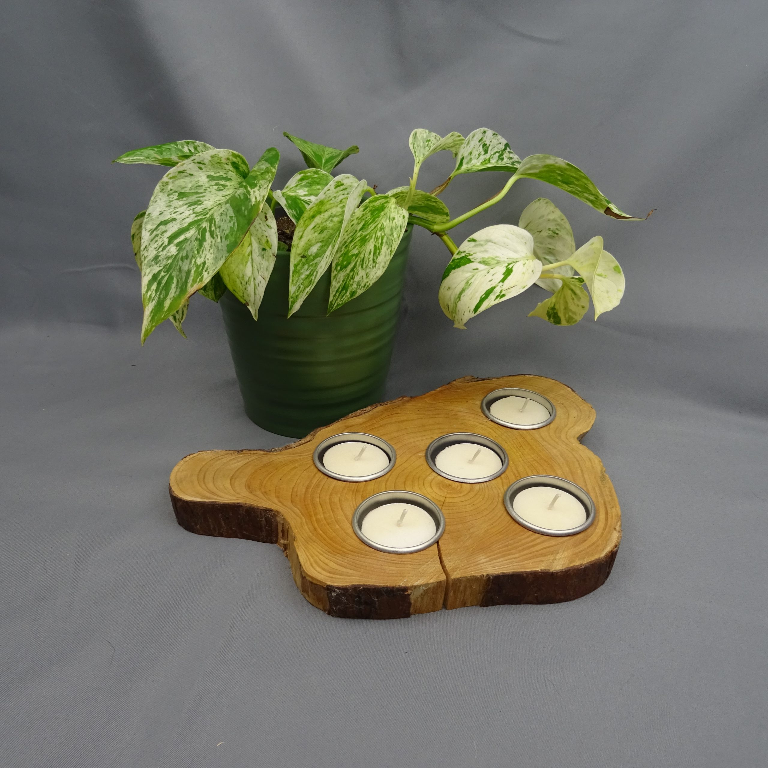 Live Edge Slice Tealight Candle Holder Live Edge Slice Tealight Candle Holder